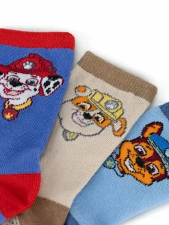 Calzini lunghi ACCCS-AW24-326PAW (3-pack) Multicolore