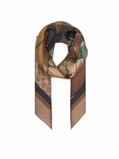Foulard 29CAS76 Marrone