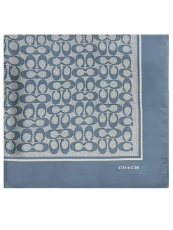 Foulard 29C2755 Blu
