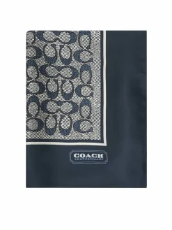 Foulard 29C2755 Grigio