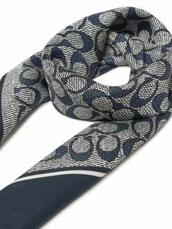 Foulard 29C2755 Grigio
