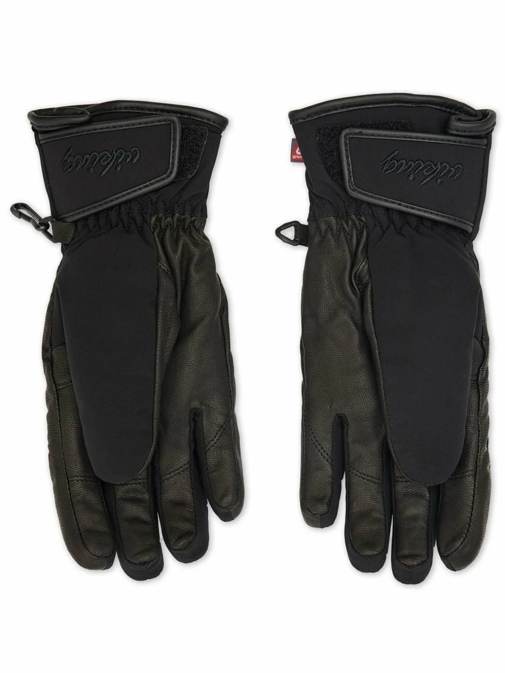 Guanti da sci Aurin 113/22/1550 Nero
