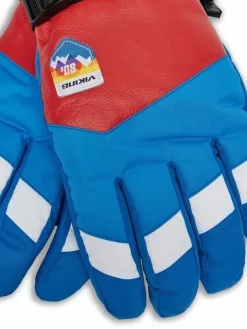 Guanti da sci Brother Louis Ski 110/24/6226/9934 Multicolore