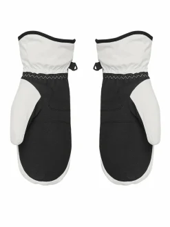 Guanti da sci Jetty Solid Mitt  ERJHN03268 Grigio