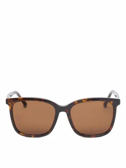 Occhiali da sole CEO-NW6626S Marrone scuro