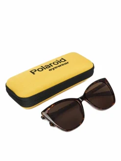 Occhiali da sole C PLD 4181/S Marrone