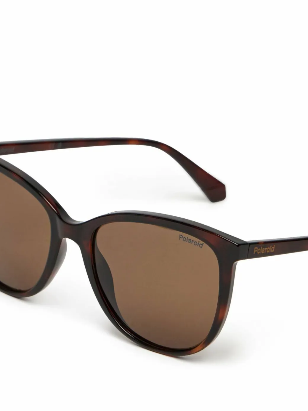 Occhiali da sole C PLD 4138/S Marrone