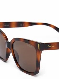 Occhiali da sole C PLD 6192/S Marrone