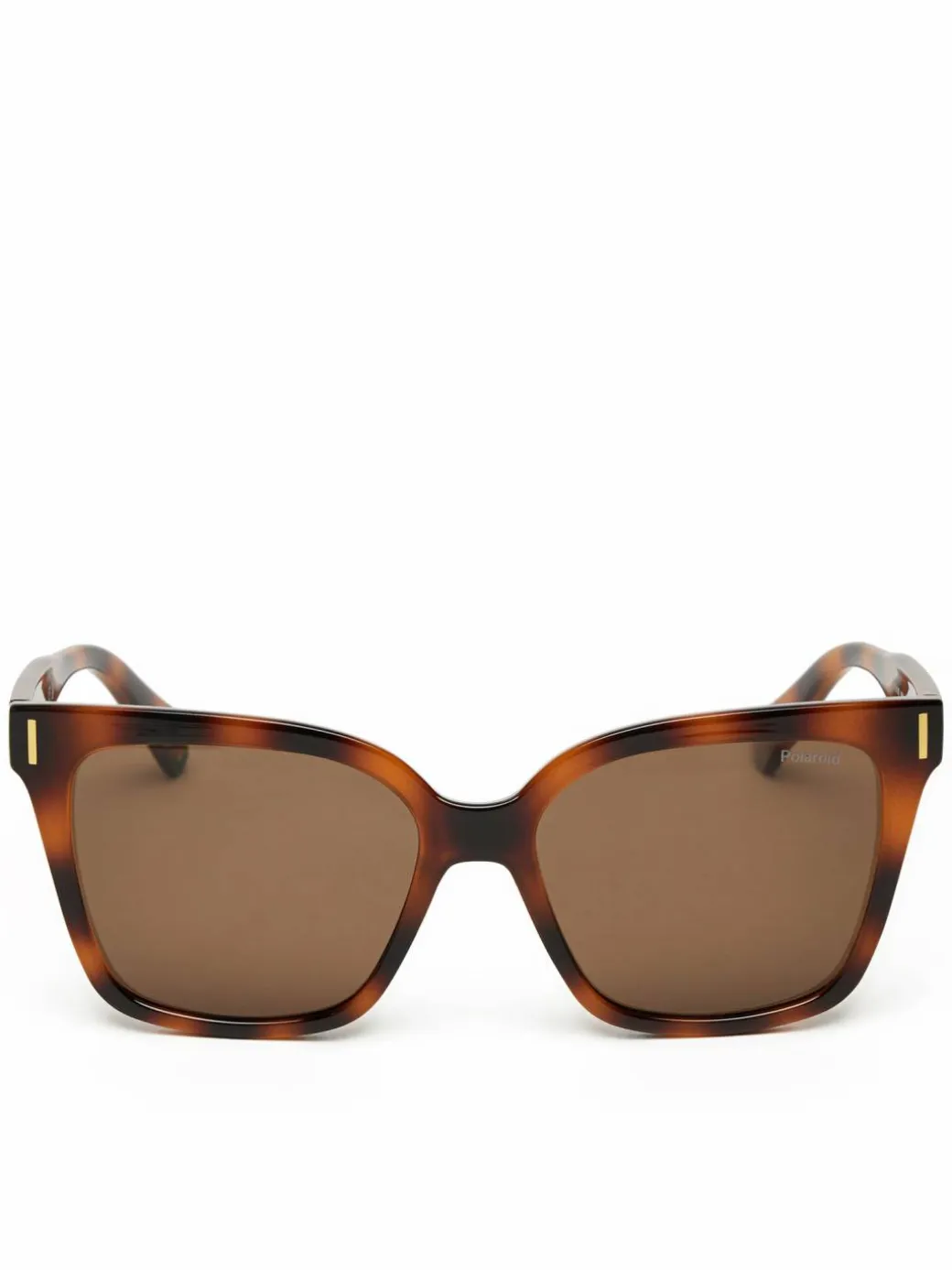 Occhiali da sole C PLD 6192/S Marrone