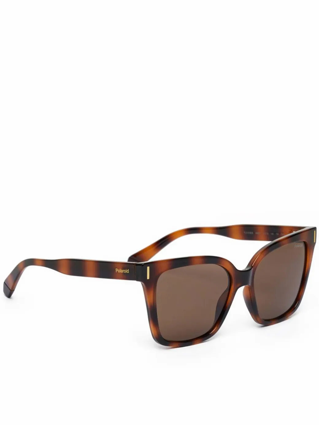 Occhiali da sole C PLD 6192/S Marrone