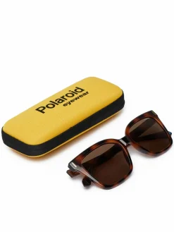 Occhiali da sole C PLD 6192/S Marrone