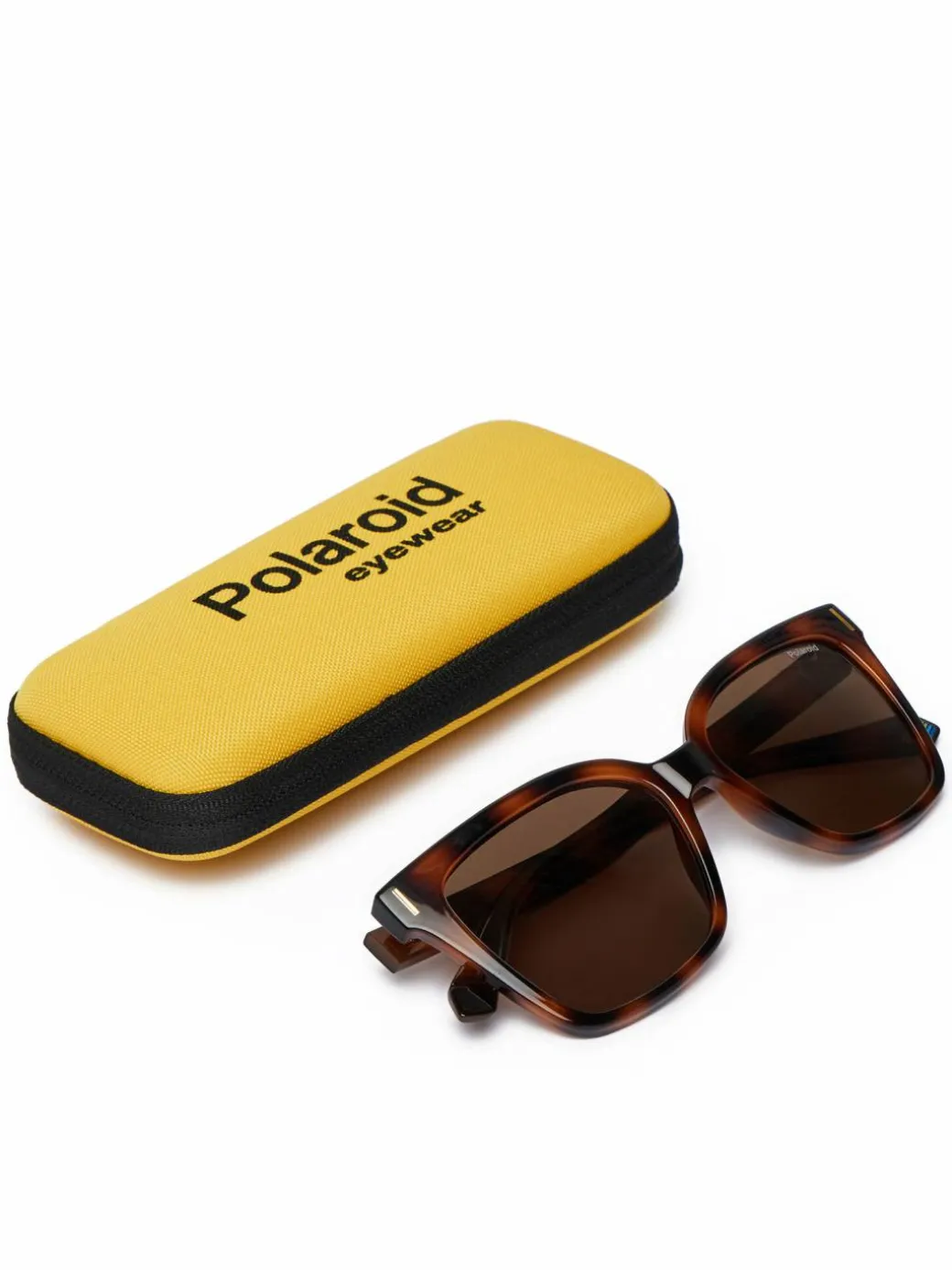 Occhiali da sole C PLD 6192/S Marrone
