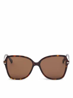 Occhiali da sole GR55241S Marrone scuro