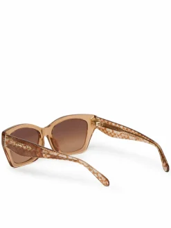 Occhiali da sole 0HC8451U 593774 Marrone