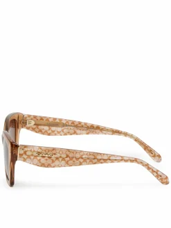 Occhiali da sole 0HC8451U 593774 Marrone
