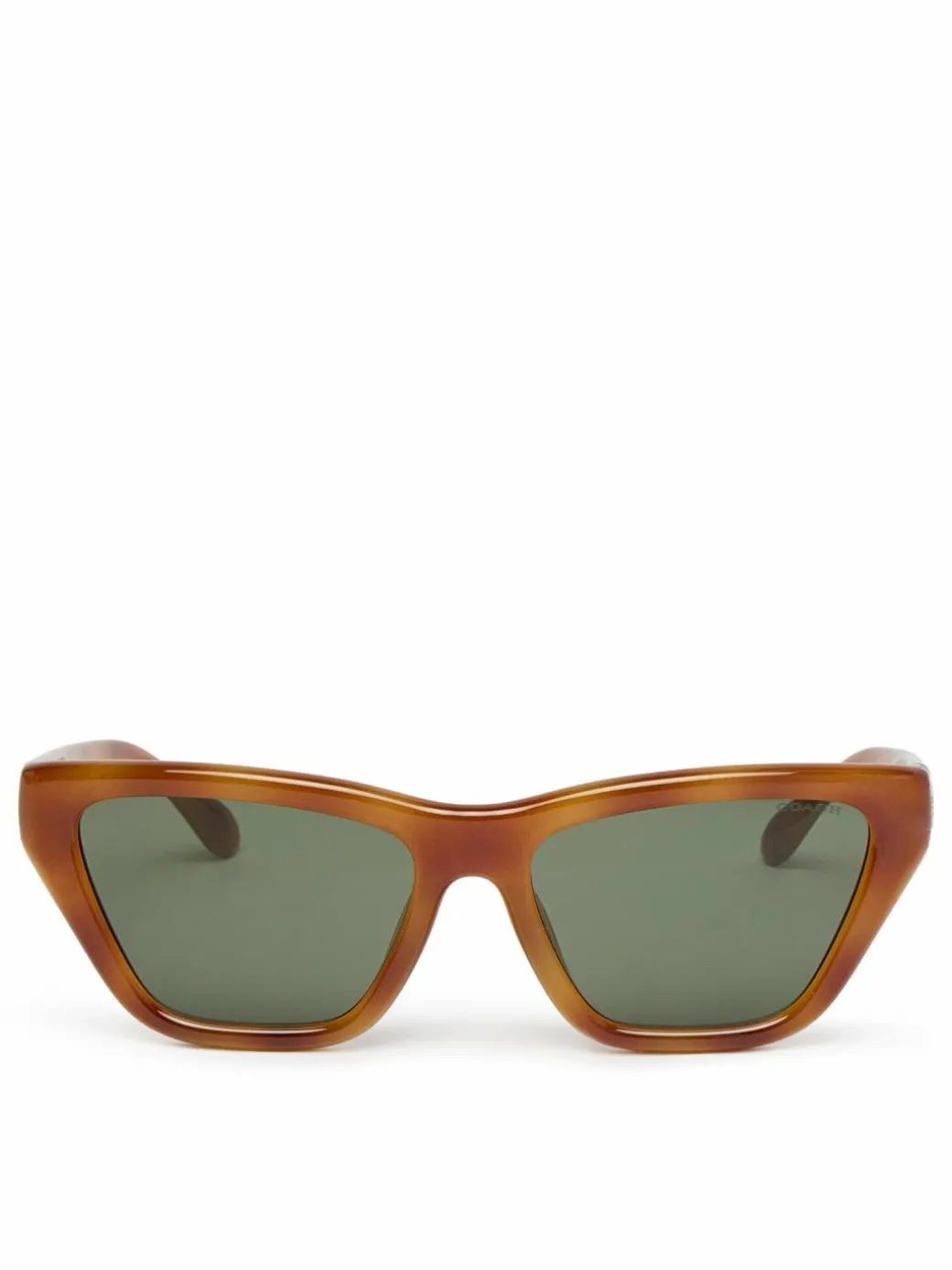Occhiali da sole 0HC8449U 577482 Marrone