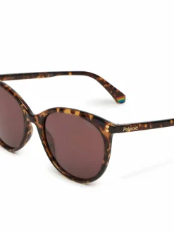 Occhiali da sole PLD 6231/S Marrone