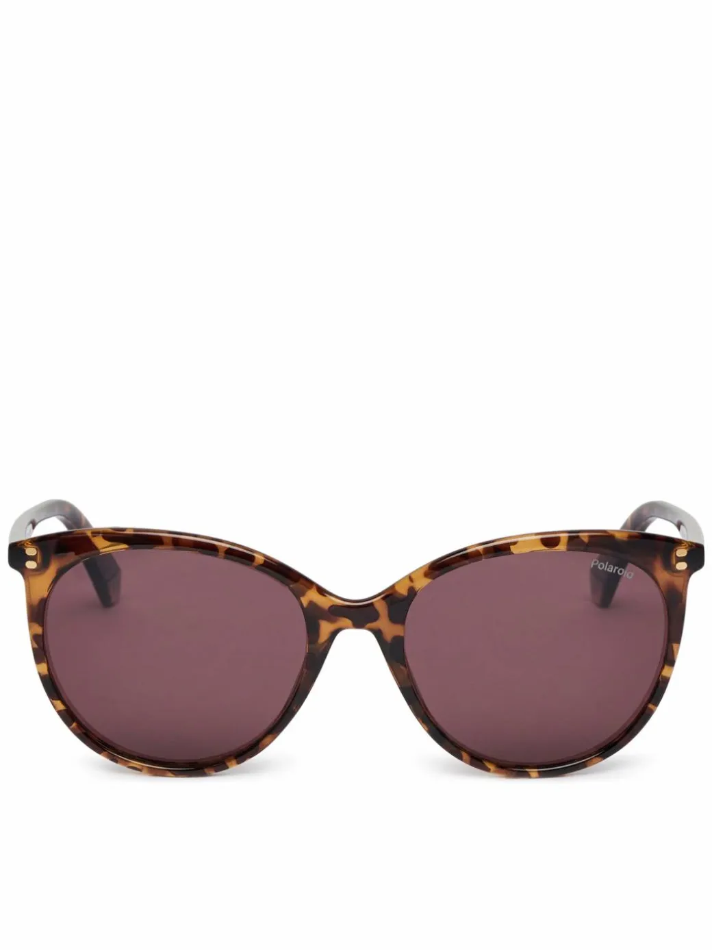 Occhiali da sole PLD 6231/S Marrone