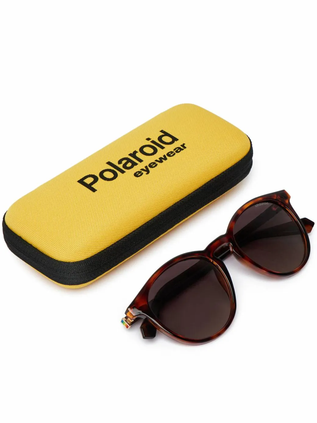 Occhiali da sole PLD 6098/S Marrone