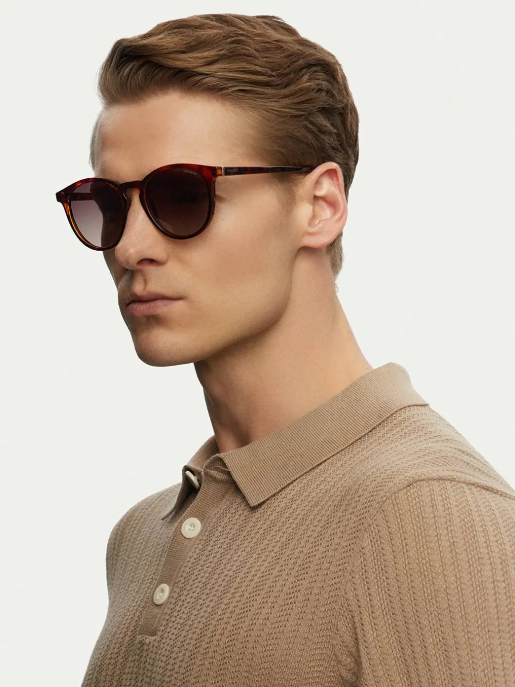 Occhiali da sole PLD 6098/S Marrone