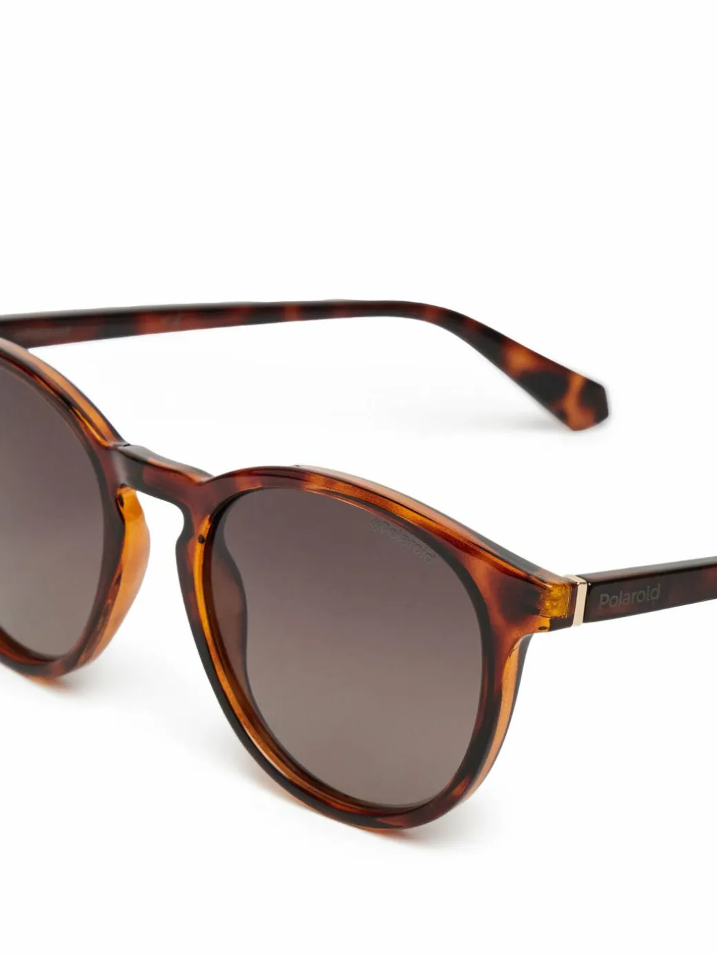 Occhiali da sole PLD 6098/S Marrone