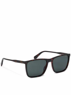 Occhiali da sole PLD 4180/S Marrone