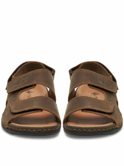 Sandali CEO-25558-25 Marrone