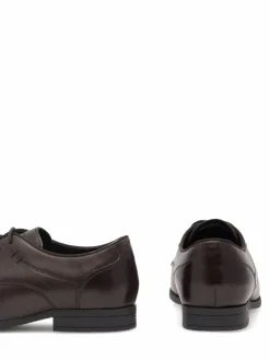 Scarpe basse ASTRA BI12-ASTRA-03 Marrone