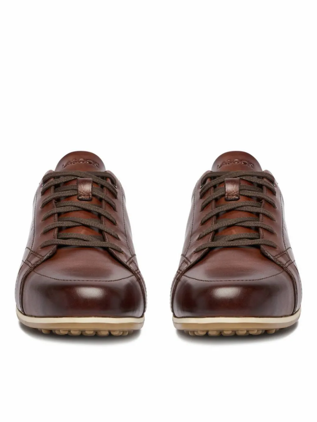 Scarpe basse CEO-CARLOS-101 MB Marrone