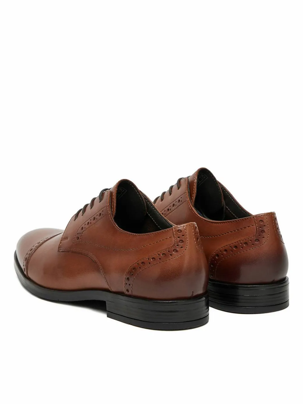 Scarpe basse CEO-PALMER-02 MI08 Marrone