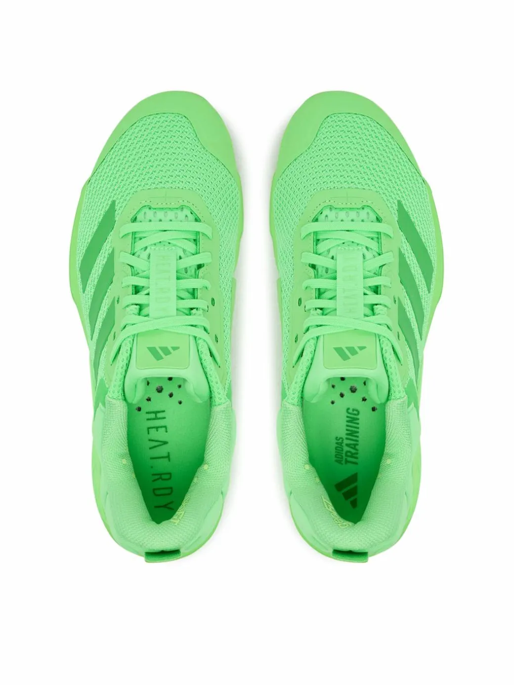 Scarpe da palestra Dropset 3 strength training JR1666 Verde