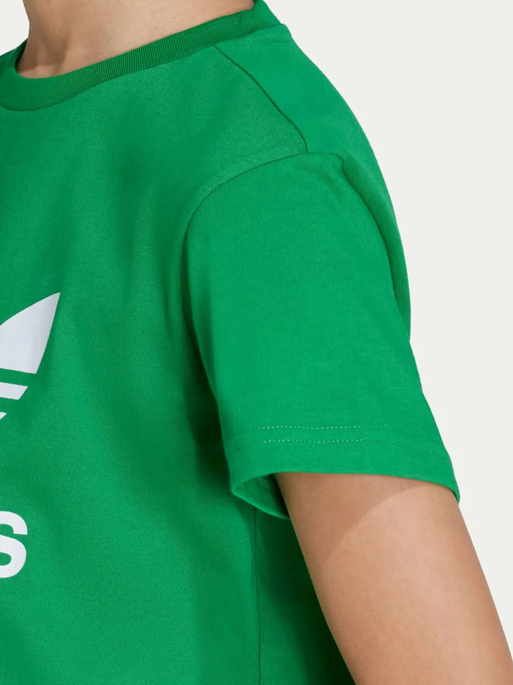 T-shirt Trefoil IY4003 Verde Regular Fit