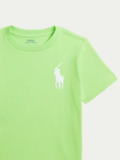 T-shirt 322832907061 Verde Regular Fit